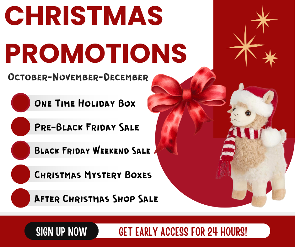 November 2024 Club News