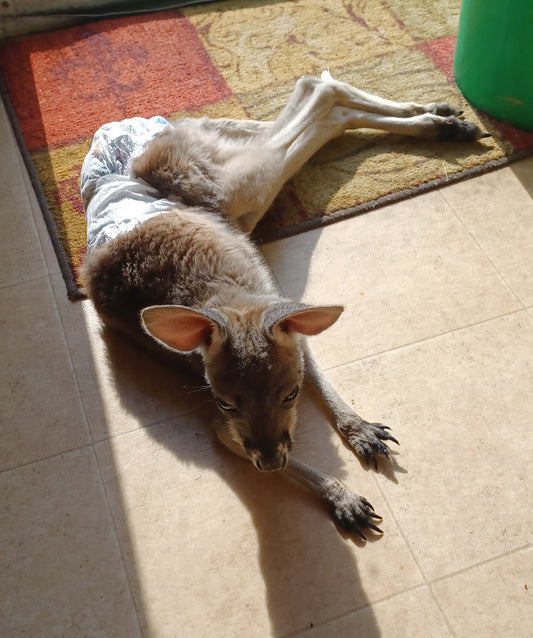 October 2023 Club News