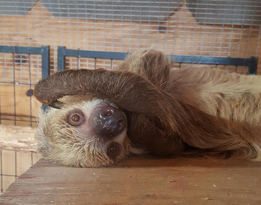 September 2023 Club News