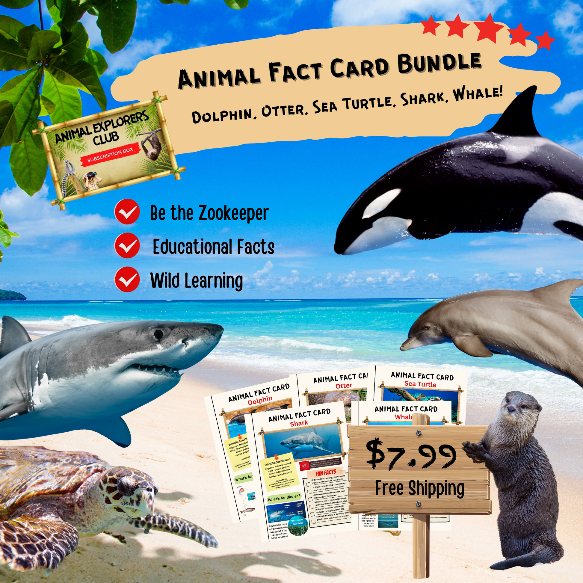 Animal Fact Card Bundle #2 - Animal Explorers Club Zookeeper Subscription Box