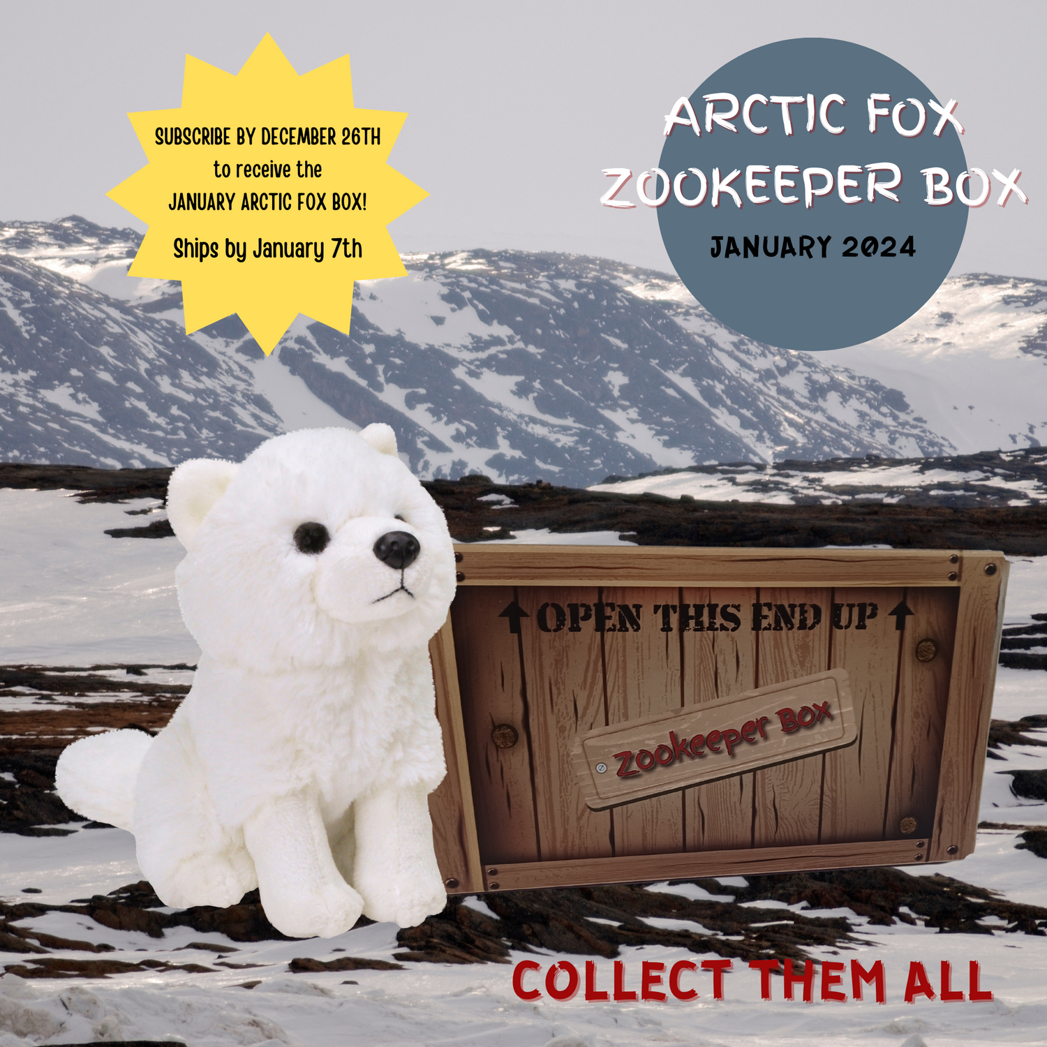 January Arctic Fox Zookeeper Subscription Box