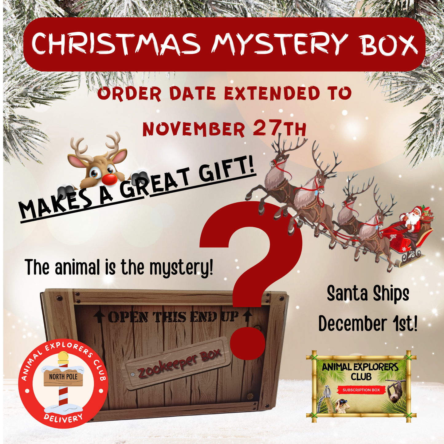 Christmas Mystery Box