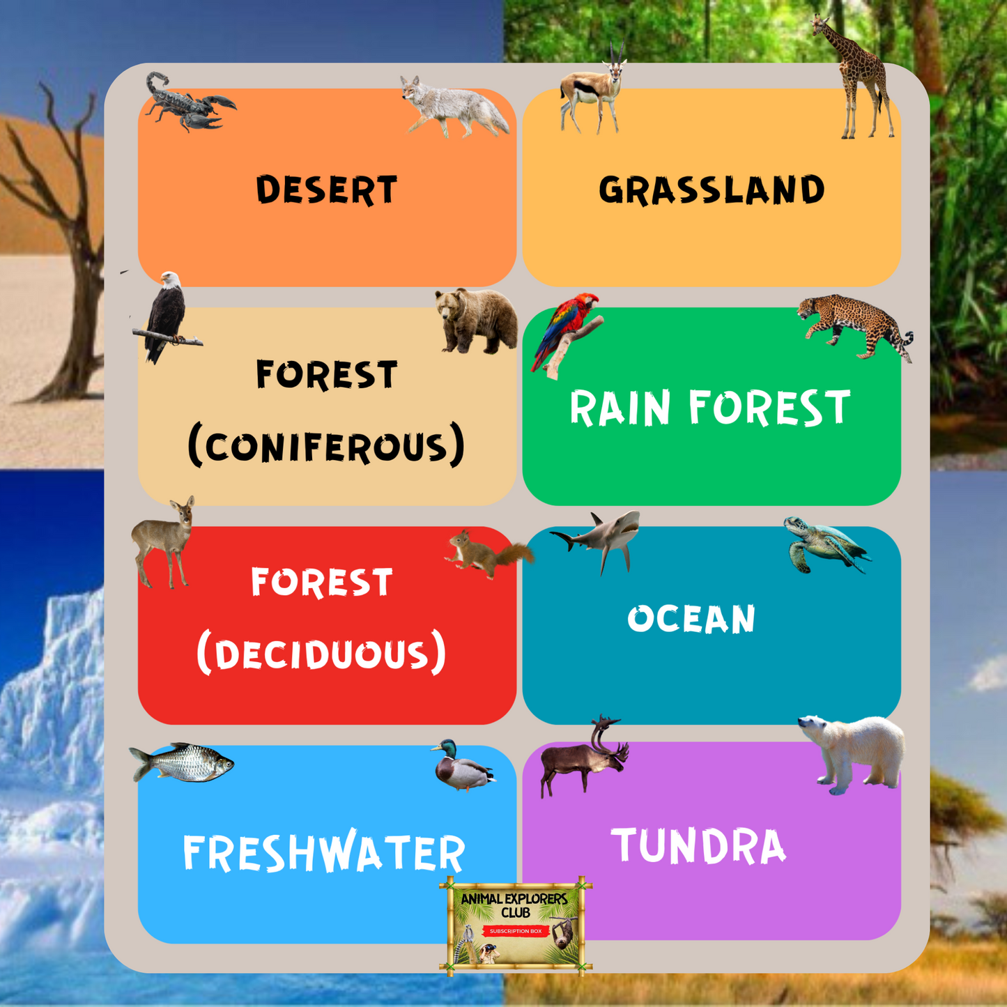 Habitat Activity Box