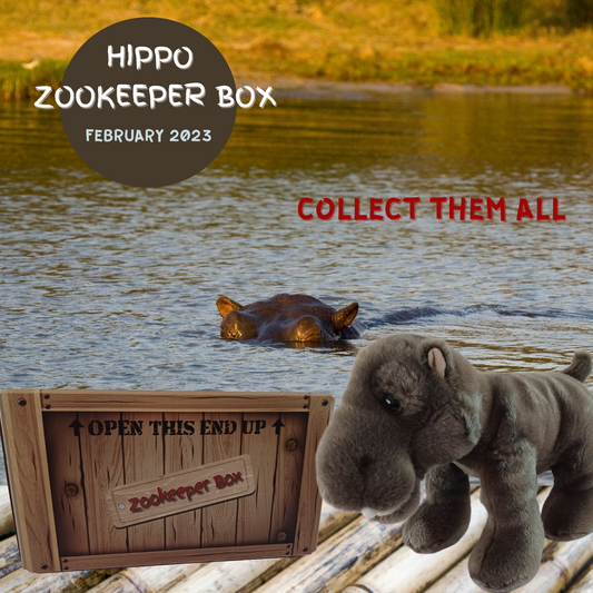 Hippo Zookeeper Subscription Box Animal Explorers Club