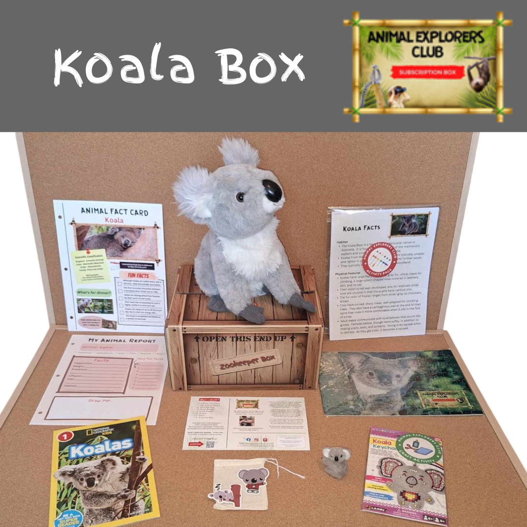 Koala Zookeeper Box - Animal Explorers Club