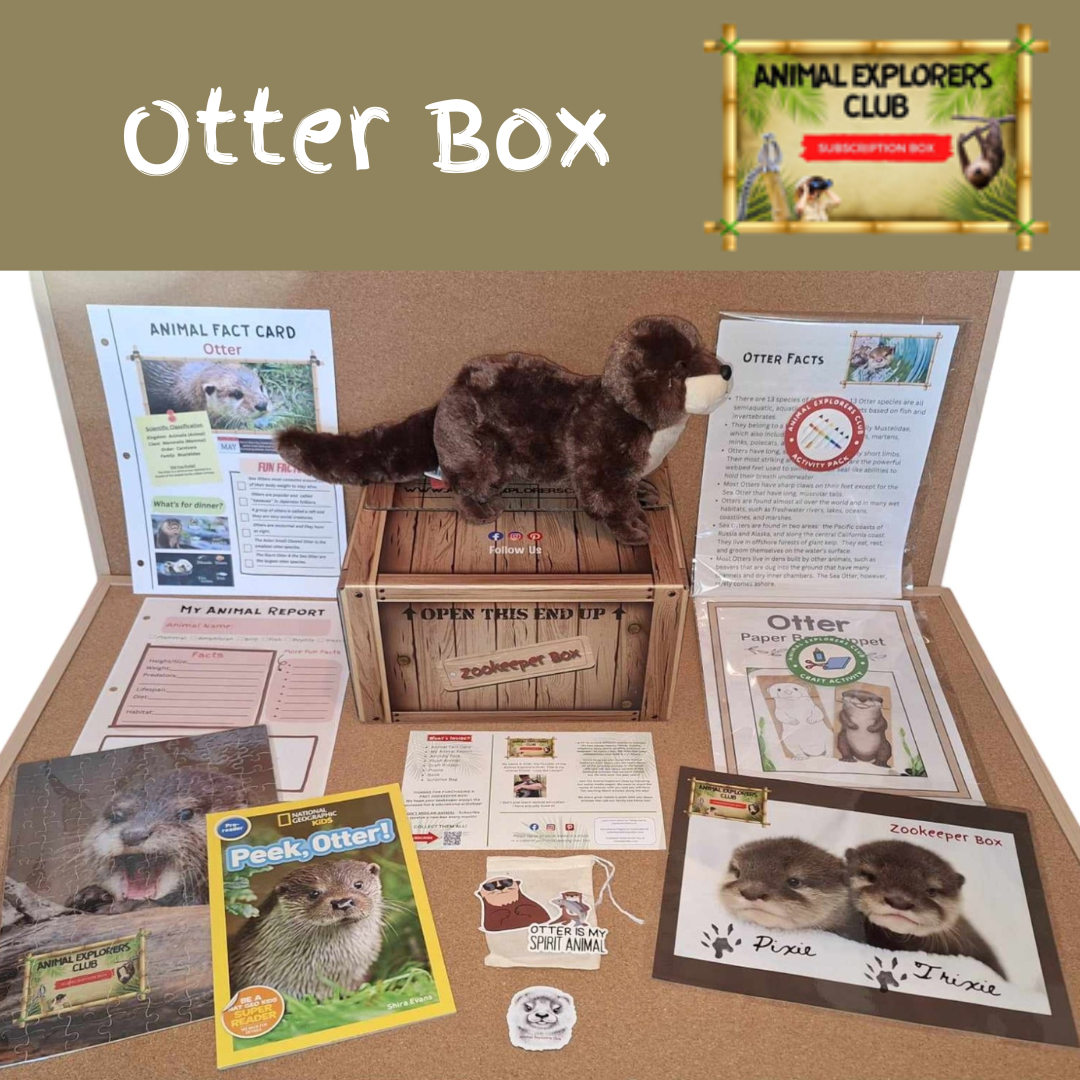 Otter Zookeeper Box - Animal Explorers Club