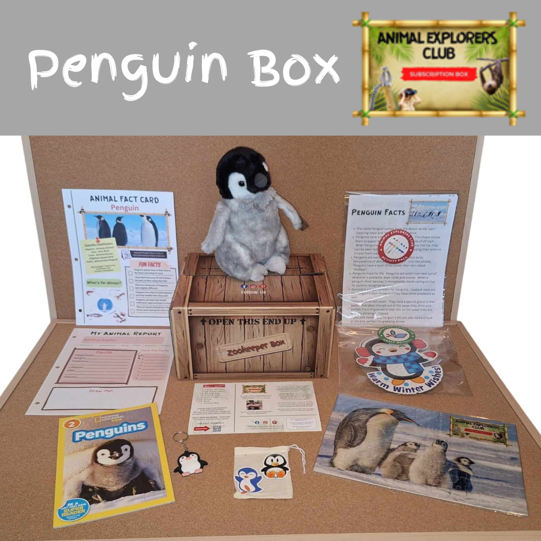 Penguin Zookeeper Box - Animal Explorers Club
