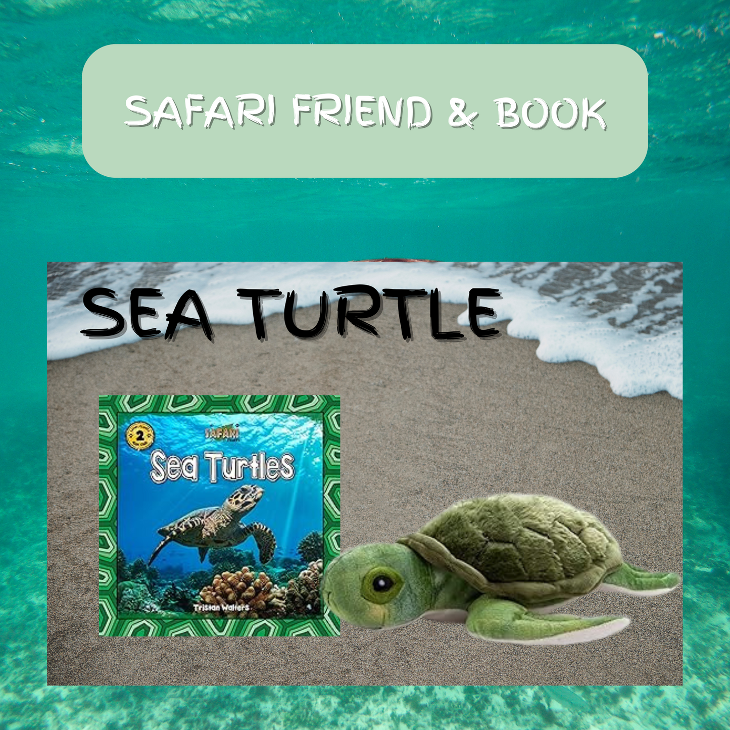 Safari Friend & Book Sea Turtle - Animal Explorers Club Zookeeper Subscription Box