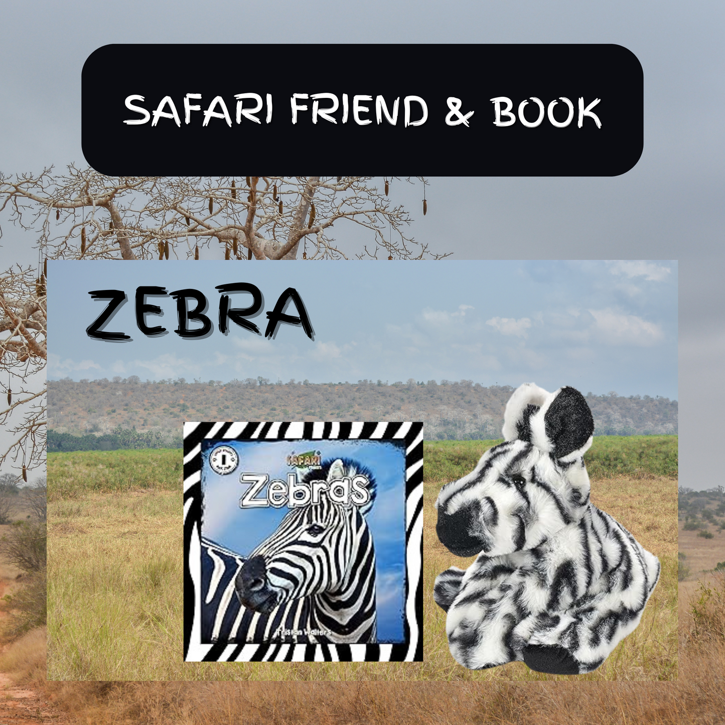 Safari Friend & Book Zebra - Animal Explorers Club Zookeeper Subscription Box