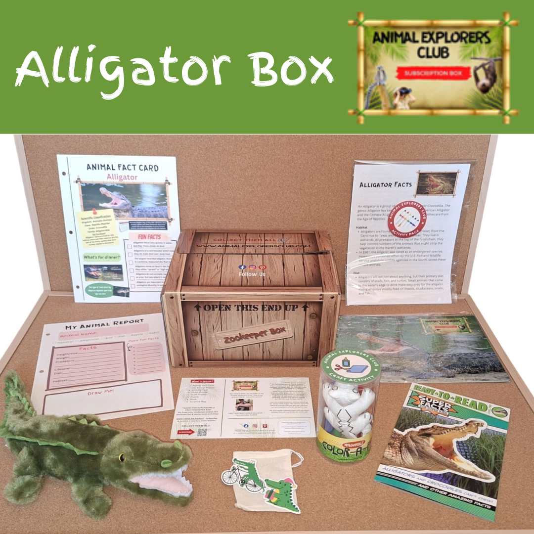 Alligator Zookeeper Box - Animal Explorers Club