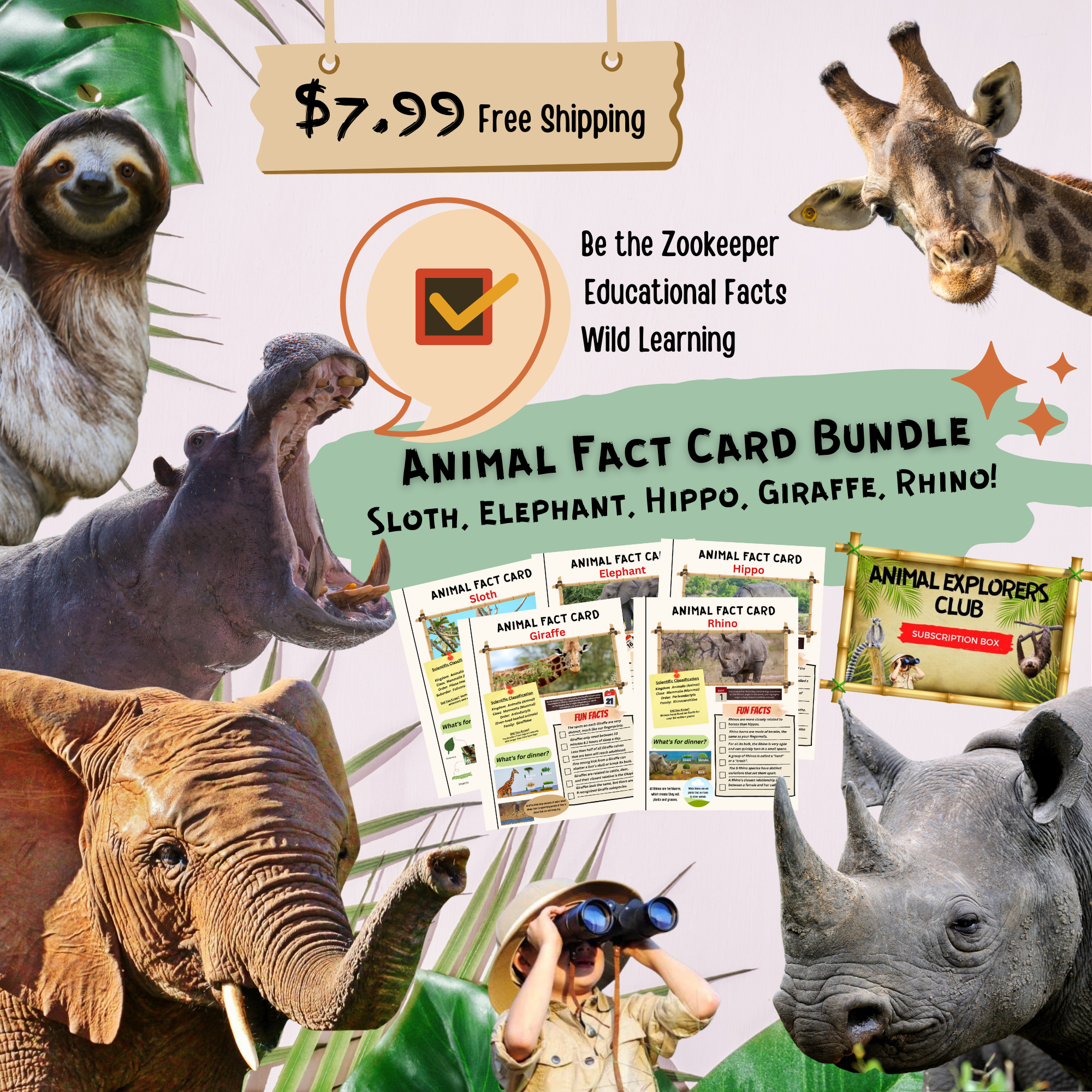 Animal Fact Card Bundle #1 - Animal Explorers Club Zookeeper Subscription Box