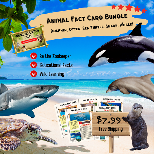 Animal Fact Card Bundle #2
