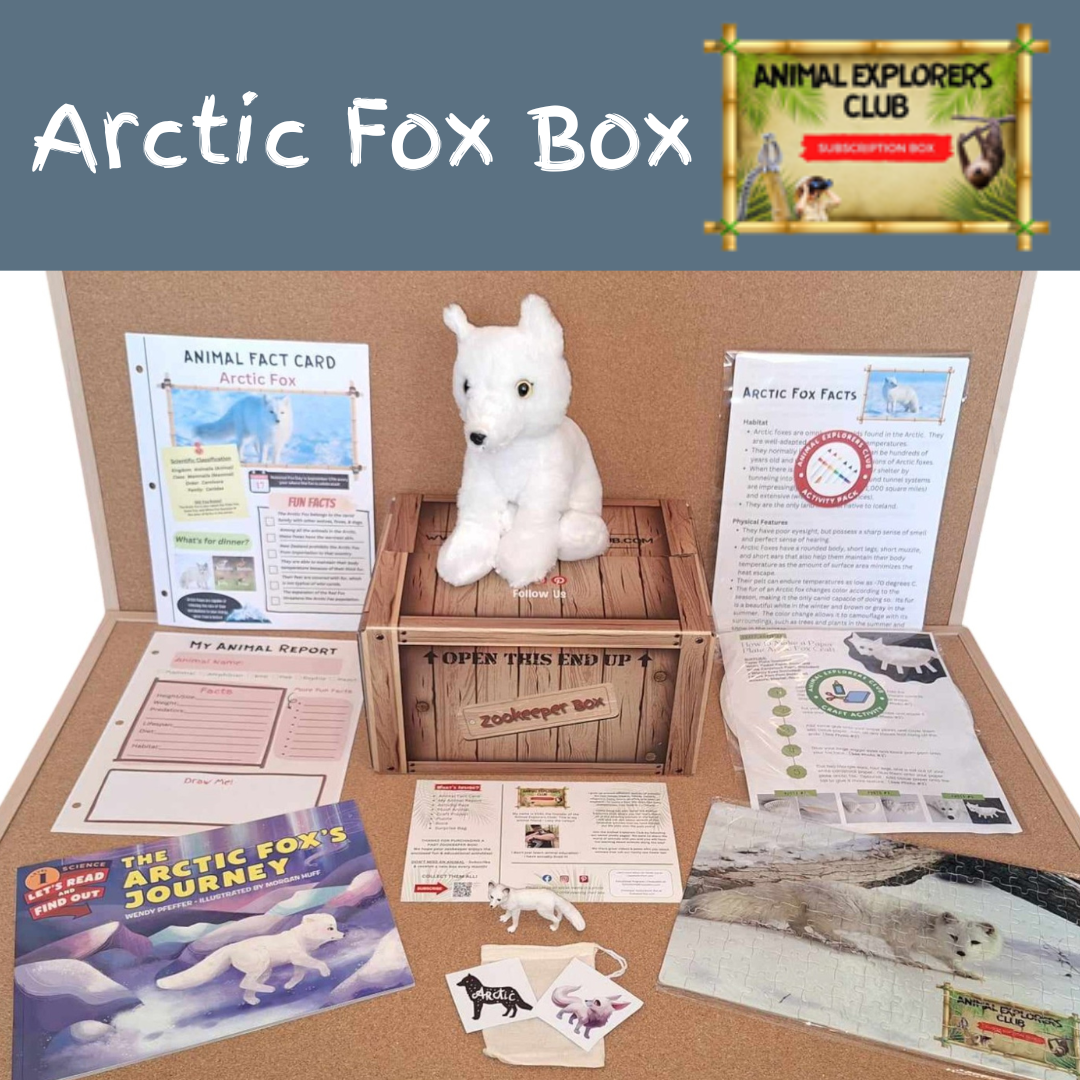 Arctic Fox Zookeeper Box - Animal Explorers Club