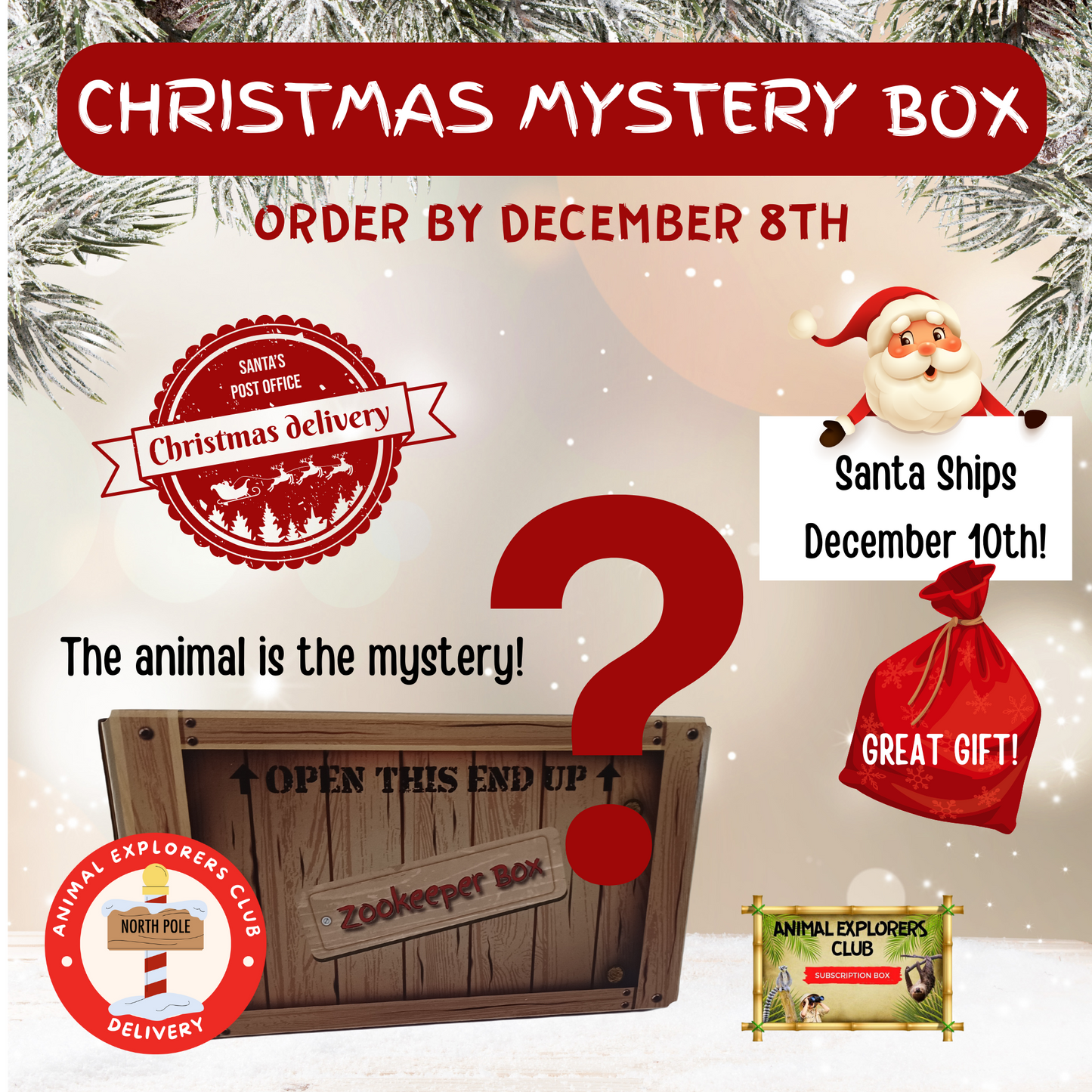 Christmas Mystery Box - Animal Explorers Club