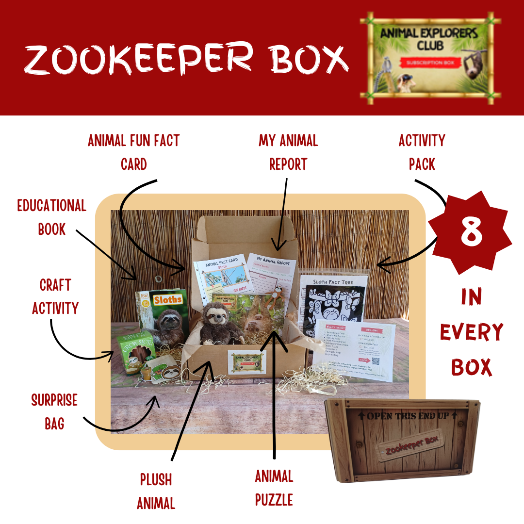 Sloth Zookeeper Box – Animal Explorers Club