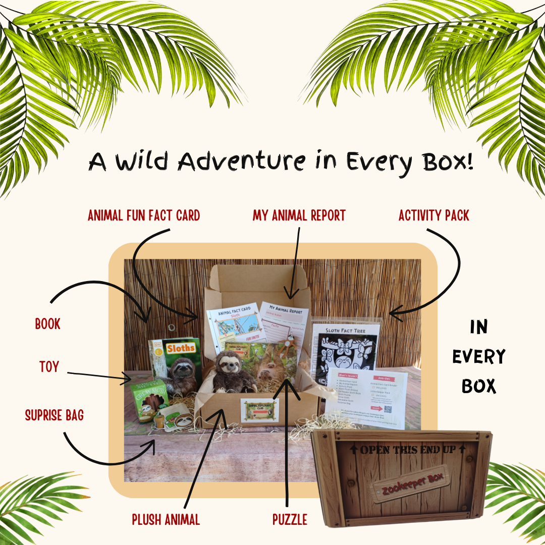 Sloth Zookeeper Box – Animal Explorers Club