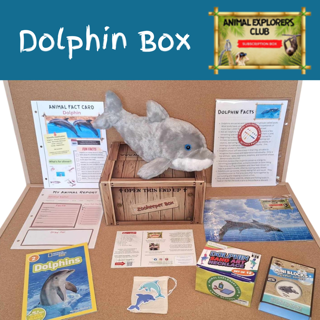Dolphin Zookeeper Box - Animal Explorers Club