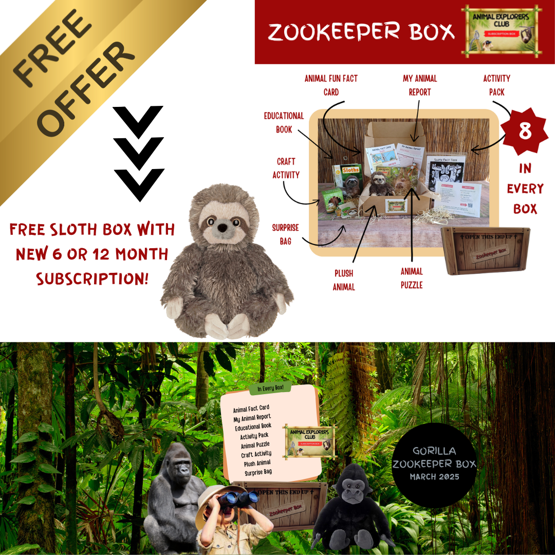 Zookeeper Box Subscription (Free Box Offer)