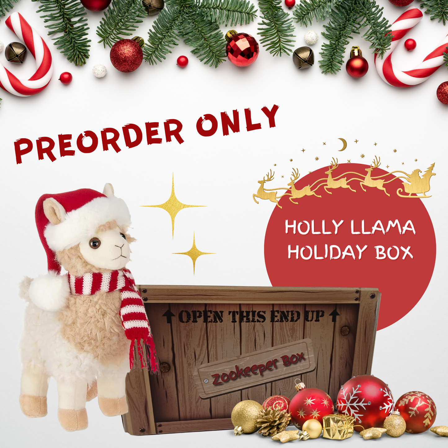 Holly Llama Holiday Zookeeper Box - Animal Explorers Club