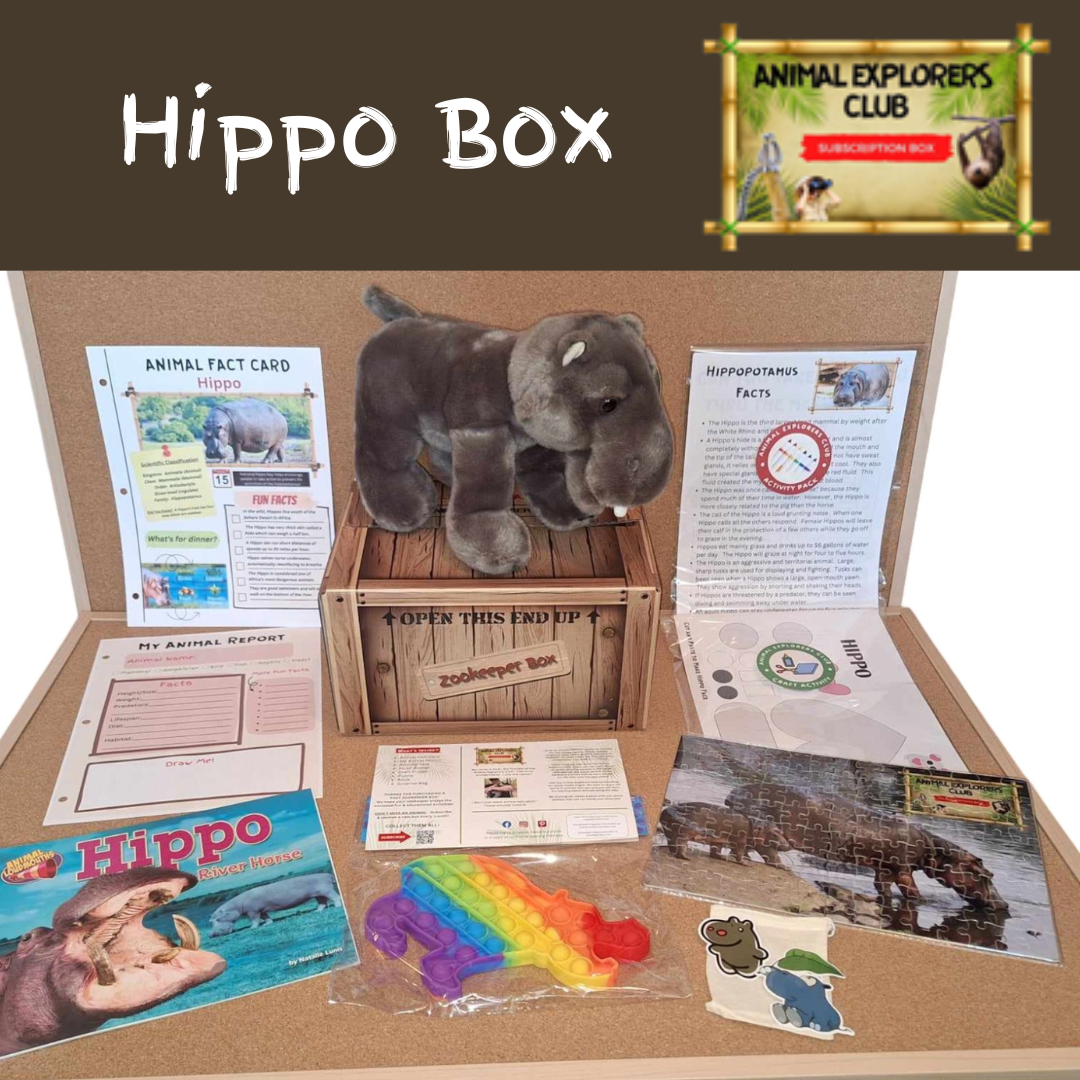 Hippo Zookeeper Box - Animal Explorers Club