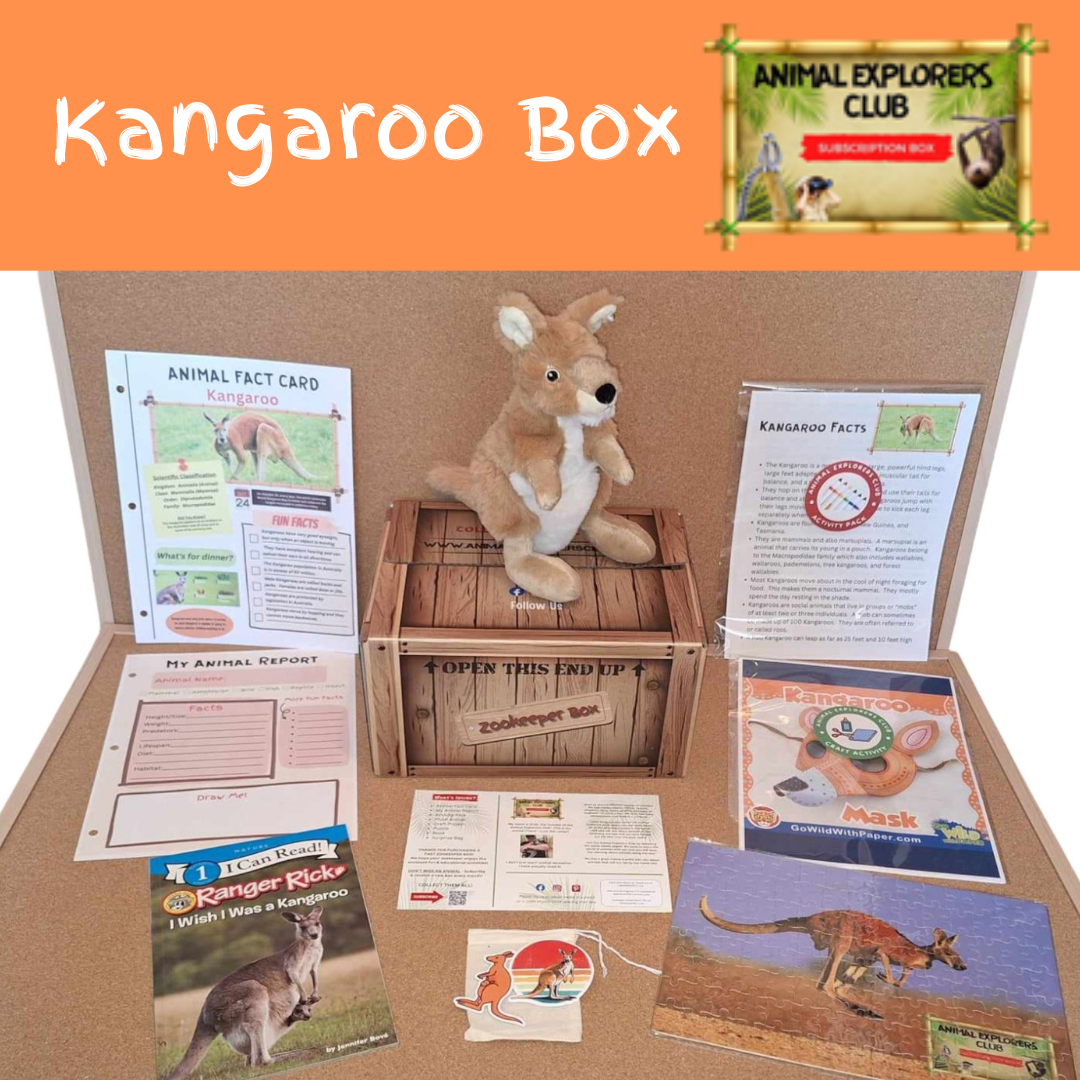 Kangaroo Zookeeper Box – Animal Explorers Club