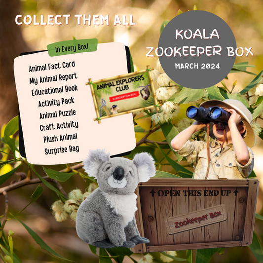 Koala Zookeeper Subscription Box - Animal Explorers Club