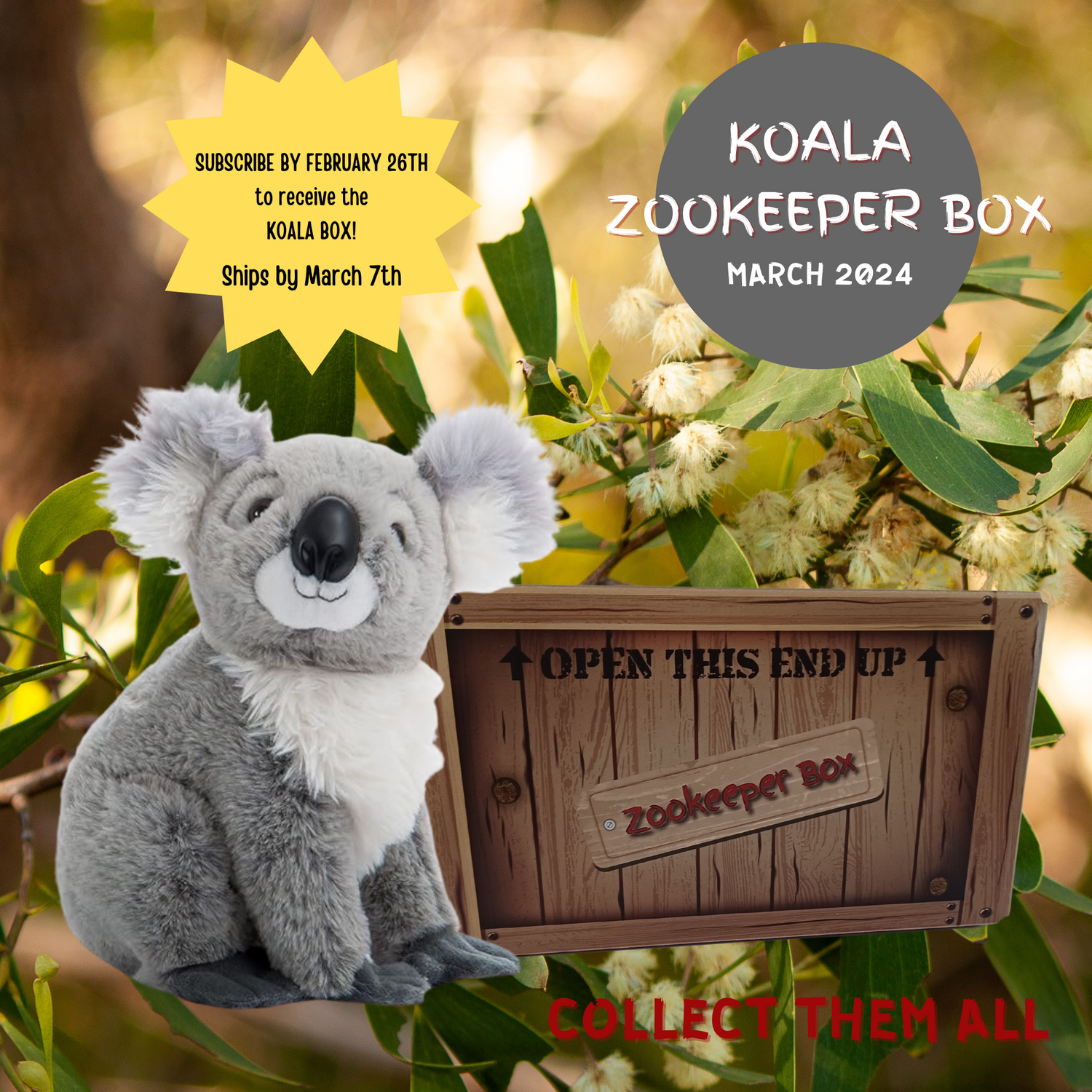 Koala ZOOKEEPER BOX.png__PID:1de06c63-264b-4c30-9fe9-78680cdd0798