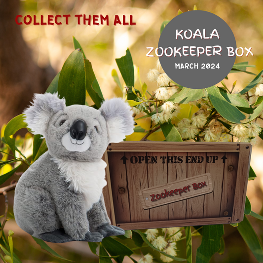 Koala Zookeeper Subscription Box