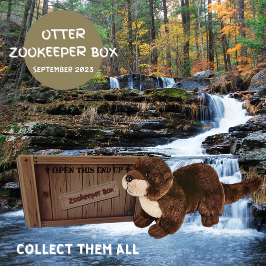 September Otter Zookeeper Subscription Box