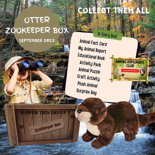 Otter Zookeeper Subscription Box - Animal Explorers Club