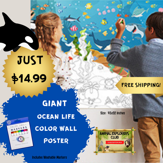 Giant Ocean Life Color Wall Poster