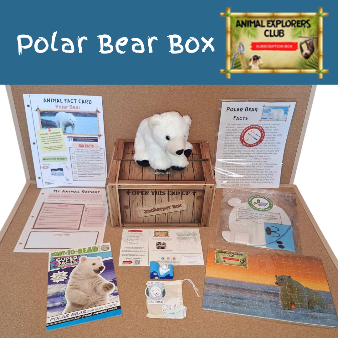 Polar Bear Zookeeper Box - Animal Explorers Club