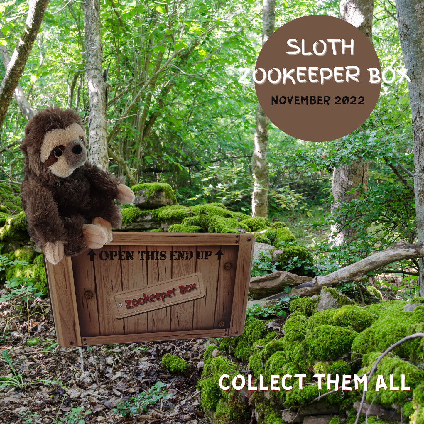 Sloth Zookeeper Subscription Box Animal Explorers Club