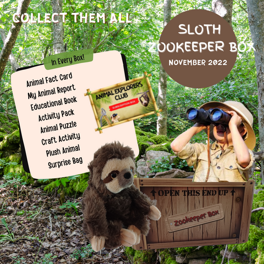 Sloth Zookeeper Subscription Box - Animal Explorers Club