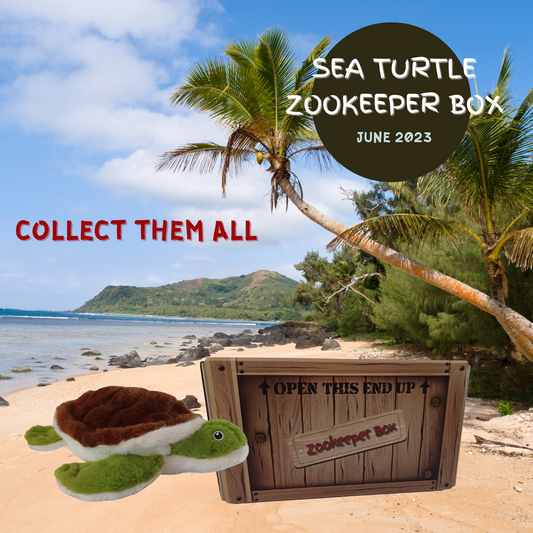 June Sea Turtle Zookeeper Subscription Box
