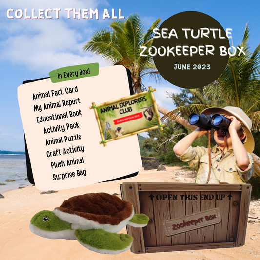 Sea Turtle Zookeeper Subscription Box - Animal Explorers Club