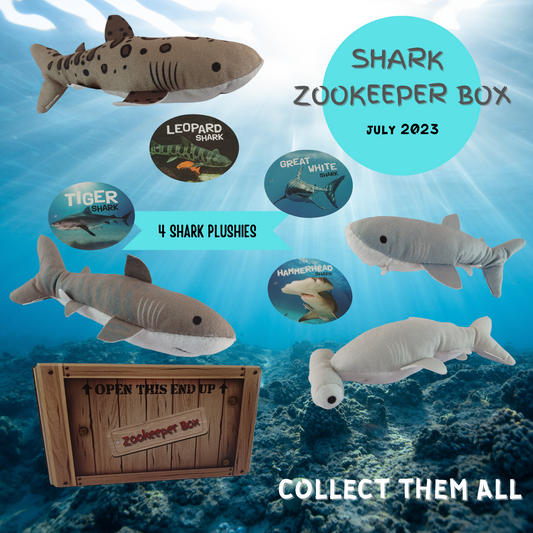 July Shark Zookeeper Subscription Box