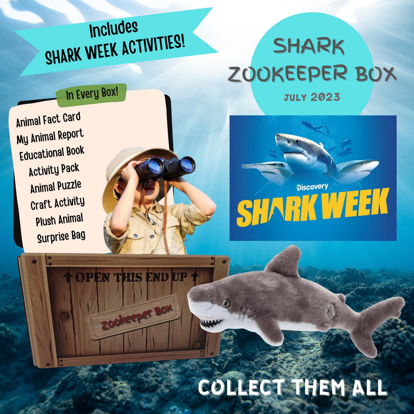 Shark Zookeeper Box