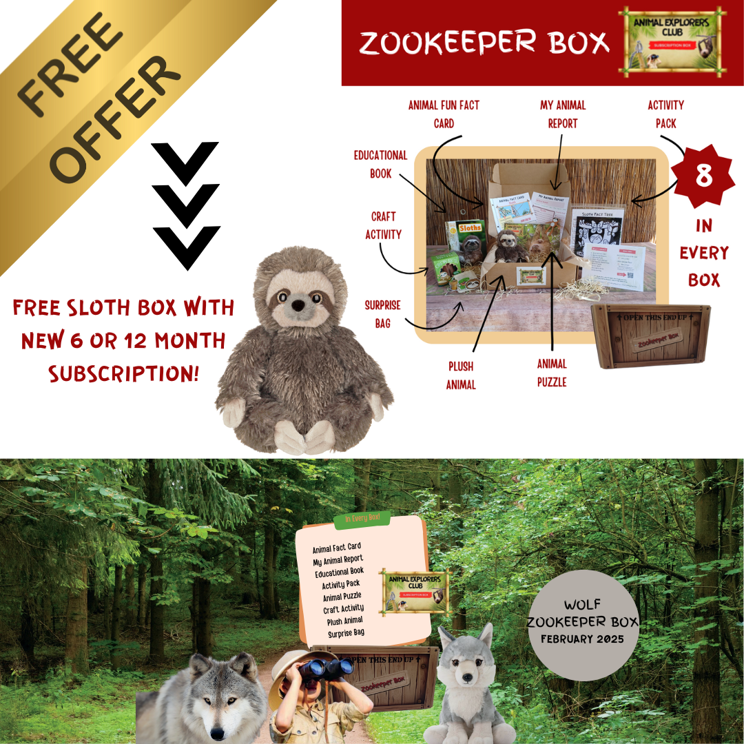 Zookeeper Box Subscription (Free Box Offer)